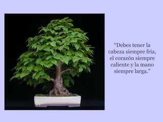 “Debes tener la
cabeza siempre fría,
 el corazón siempre
 caliente y la mano
   siempre larga.”
 