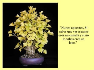 "Nunca apuestes. Si
sabes que vas a ganar
eres un canalla y si no
   lo sabes eres un
        loco."
 