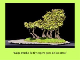 “Exige mucho de tí y espera poco de los otros.”
 