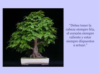 “Debes tener la
cabeza siempre fría,
 el corazón siempre
   caliente y estar
siempre dispuestos
      a actuar.”
 