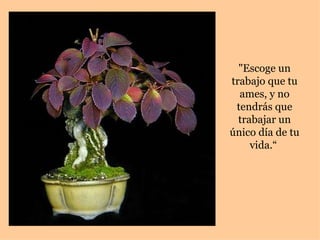 "Escoge un trabajo que tu ames, y no tendrás que trabajar un único día de tu vida.“  