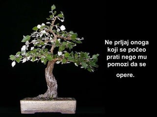Ne prljaj onoga koji se počeo prati nego mu pomozi da se opere.   