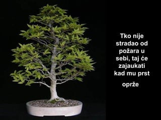 Tk o nije stradao od požara u sebi, taj će zajaukati kad mu prst oprže   