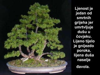 L j enost je jedan od smrtnih gr ij eha jer umrtvljuje dušu u čov j eku. L ij eno t ij elo je gn ij ezdo poroka, l ij ena duša  naselje  đavola.   