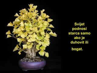 Sv ij et podnosi starca samo ako je duhovit ili bogat.       