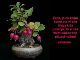 Žene, ja ne znam kome ste vi bile blaga kiša jutarnja, ali u naš život ulazite kao pljusci nošeni vihorima.   