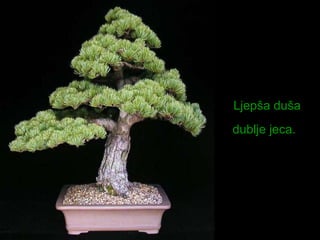 L j epša duša dublje jeca.   