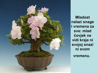 Mladost nalazi snag e  i vremena za sve: mlad čov j ek ne vidi kraja ni svojoj snazi ni svom  v remenu.   