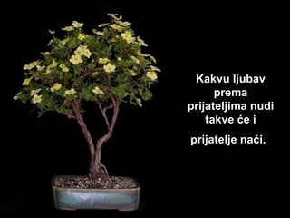 Kakvu ljubav prema prijateljima nudi takve će i prijatelje naći.   