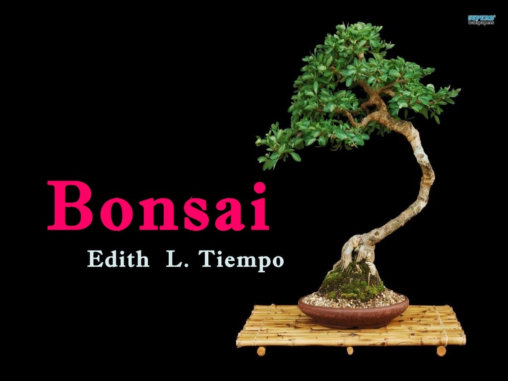 Bonsai by Edith L. Tiempo