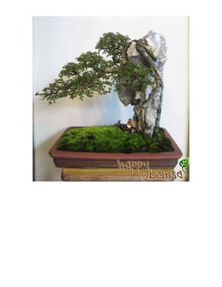 Bonsai style