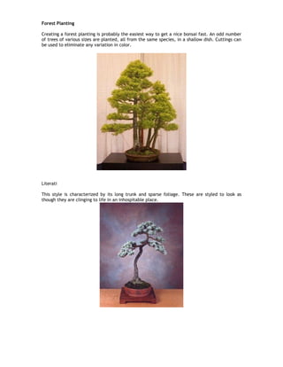 Forest Planting
Creating a forest planting is probably the easiest way to get a nice bonsai fast. An odd number
of trees of various sizes are planted, all from the same species, in a shallow dish. Cuttings can
be used to eliminate any variation in color.
Literati
This style is characterized by its long trunk and sparse foliage. These are styled to look as
though they are clinging to life in an inhospitable place.
 