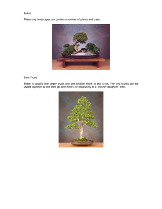 Saikei
These tray landscapes can contain a number of plants and trees.
Twin Trunk
There is usually one larger trunk and one smaller trunk in this style. The two trunks can be
styled together as one tree (as seen here), or separately as a "mother daughter" tree.
 