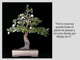 “ No te creas tan grande hasta el punto de pensar y ver a los demás por debajo de tí.”  