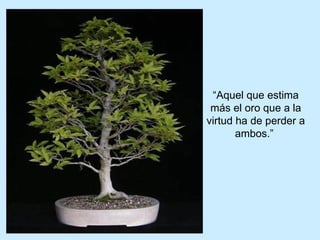 “ Aquel que estima más el oro que a la virtud ha de perder a ambos.”  