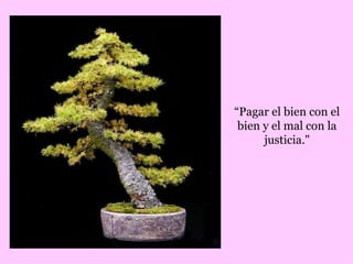 “ Pagar el bien con el bien y el mal con la justicia." 