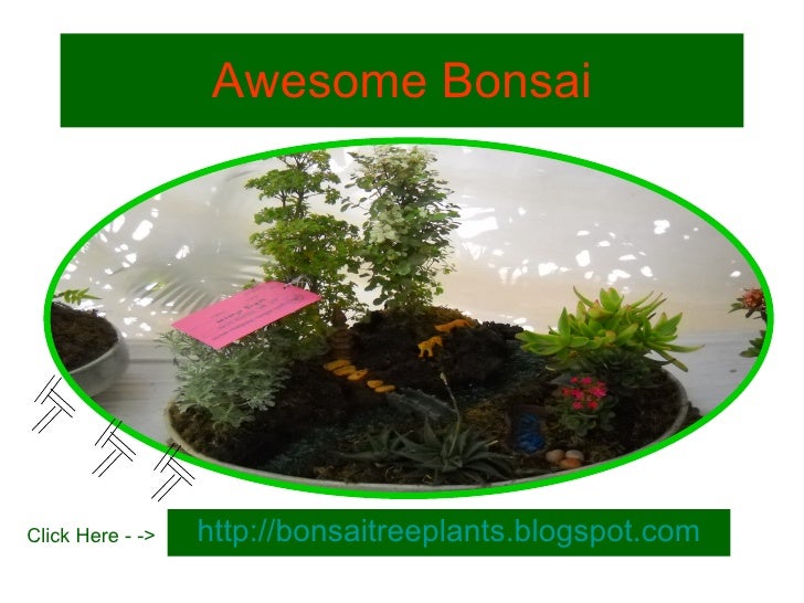 bonsai by edith tiempo pdf bonsai by edith tiempo pdf
