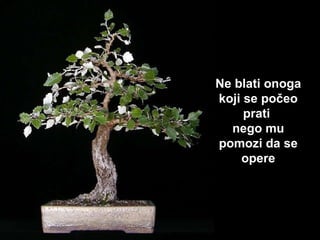 Ne  blati  onoga koji se počeo prati  nego mu pomozi da se opere 