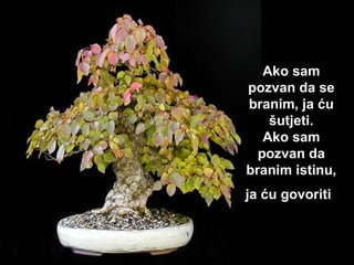 Ako sam pozvan da se branim ,  ja ću  šutjeti. A ko sam pozvan da branim istinu ,  ja ću govoriti   