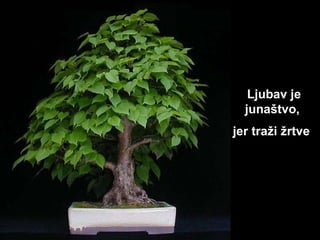 Ljubav je  junaštvo ,  jer traži žrtve   