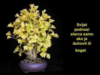 Sv ij et podnosi starca samo ako je duhovit ili bogat     