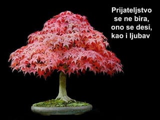 Prijateljstvo se ne bira, ono  se desi , kao  i  ljubav   