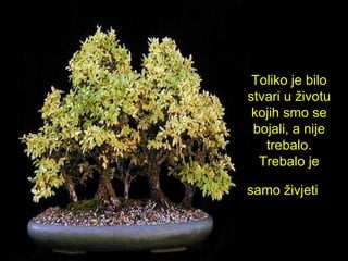 Toliko je bilo stvari u životu kojih smo se bojali , a  nije treb a lo. Trebalo je  samo ž iv j eti   