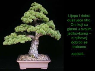 Lijepa i dobra  duša jeca  tiho. Oni koji su glasni u svojim jadikovkama – o njihovoj dobroti se trebamo zapitati..   