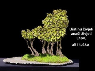 Uistinu živjeti znači živjeti lijepo,  ali i teško   