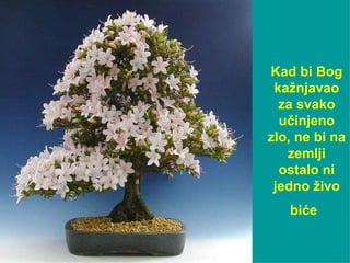 Kad bi Bog kažnjavao za svako učinjeno zlo, ne bi na zemlji ostalo ni jedno živo biće   