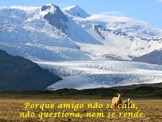 Porque amigo não se cala,  não questiona, nem se rende. 