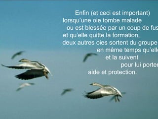 Enfin (et ceci est important)
lorsqu’une oie tombe malade
  ou est blessée par un coup de fus
et qu’elle quitte la formation,
deux autres oies sortent du groupe
              en même temps qu’elle
                  et la suivent
                         pour lui porter
          aide et protection.
 