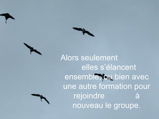 Alors seulement
       elles s’élancent
 ensemble, ou bien avec
une autre formation pour
    rejoindre          à
   nouveau le groupe.
 