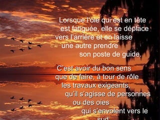 Lorsque l’oie qui est en tête
 est fatiguée, elle se déplace
vers l’arrière et en laisse
  une autre prendre
         son poste de guide.
C’est avoir du bon sens
que de faire, à tour de rôle
  les travaux exigeants,
   qu’il s’agisse de personnes
      ou des oies
          qui s’envolent vers le
 