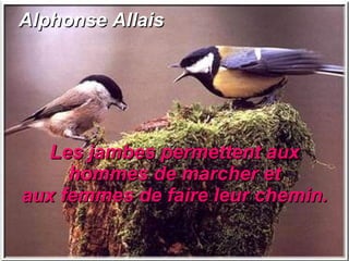 Alphonse Allais Les jambes permettent aux hommes de marcher et aux femmes de faire leur chemin. 