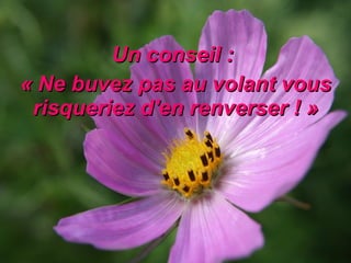 Un conseil :  « Ne buvez pas au volant vous risqueriez d'en renverser ! » 