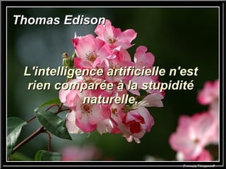 Thomas Edison L'intelligence artificielle n'est rien comparée à la stupidité naturelle. 