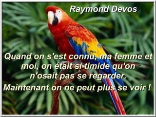 Raymond Devos  Quand on s'est connu, ma femme et moi, on était si timide qu'on n'osait pas se regarder. Maintenant on ne peut plus se voir !  