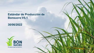 Estándar de Producción de
Bonsucro V5.1
30/06/2022
 