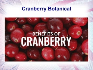 Cranberry Botanical
 