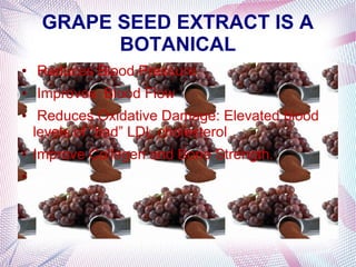 GRAPE SEED EXTRACT IS A
BOTANICAL
● Reduces Blood Pressure.
● Improves Blood Flow
● Reduces Oxidative Damage: Elevated blood
levels of “bad” LDL cholesterol
● Improve Collagen and Bone Strength.
●
 
