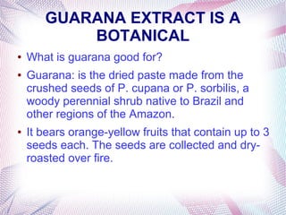 GUARANA EXTRACT IS A
BOTANICAL
● What is guarana good for?
● Guarana: is the dried paste made from the
crushed seeds of P. cupana or P. sorbilis, a
woody perennial shrub native to Brazil and
other regions of the Amazon.
● It bears orange-yellow fruits that contain up to 3
seeds each. The seeds are collected and dry-
roasted over fire.
 