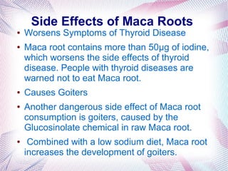 Side Effects of Maca Roots
● Worsens Symptoms of Thyroid Disease
● Maca root contains more than 50µg of iodine,
which worsens the side effects of thyroid
disease. People with thyroid diseases are
warned not to eat Maca root.
● Causes Goiters
● Another dangerous side effect of Maca root
consumption is goiters, caused by the
Glucosinolate chemical in raw Maca root.
● Combined with a low sodium diet, Maca root
increases the development of goiters.
 