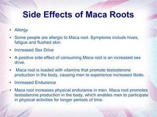 Side Effects of Maca Roots
● Allergy
● Some people are allergic to Maca root. Symptoms include hives,
fatigue and flushed skin.
● Increased Sex Drive
● A positive side effect of consuming Maca root is an increased sex
drive.
● Maca root is loaded with vitamins that promote testosterone
production in the body, causing men to experience increased libido.
● Increased Endurance
● Maca root increases physical endurance in men. Maca root promotes
testosterone production in the body, which enables men to participate
in physical activities for longer periods of time.
 