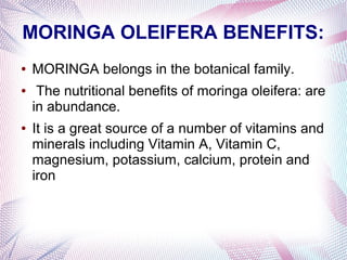 MORINGA OLEIFERA BENEFITS:
● MORINGA belongs in the botanical family.
● The nutritional benefits of moringa oleifera: are
in abundance.
● It is a great source of a number of vitamins and
minerals including Vitamin A, Vitamin C,
magnesium, potassium, calcium, protein and
iron
 