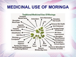 MEDICINAL USE OF MORINGA
 