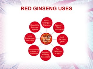 RED GINSENG USES
 