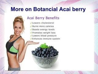 More on Botancial Acai berry
 