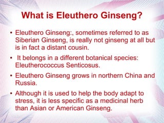 What is Eleuthero Ginseng?
● Eleuthero Ginseng:, sometimes referred to as
Siberian Ginseng, is really not ginseng at all but
is in fact a distant cousin.
● It belongs in a different botanical species:
Eleutherococcus Senticosus.
● Eleuthero Ginseng grows in northern China and
Russia.
● Although it is used to help the body adapt to
stress, it is less specific as a medicinal herb
than Asian or American Ginseng.
 
