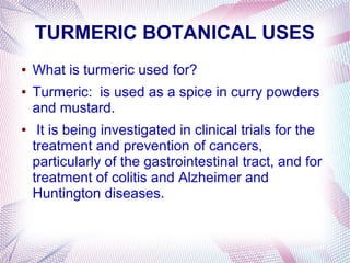TURMERIC BOTANICAL USES
● What is turmeric used for?
● Turmeric: is used as a spice in curry powders
and mustard.
● It is being investigated in clinical trials for the
treatment and prevention of cancers,
particularly of the gastrointestinal tract, and for
treatment of colitis and Alzheimer and
Huntington diseases.
 
